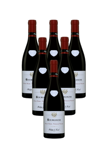 6x Bourgogne Pinot Noir 2021 Vieilles Vignes Philippe le Hardi