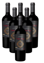 Načíst obrázek do prohlížeče Galerie, 6x Malbec 2023 Reserva Bodega Piedra Negra Lurton Organic