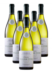 6x Chablis 2022 Domaine William Fèvre